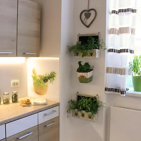 Aromatic Herbs Loft -new, Central & Parking * 류블랴나