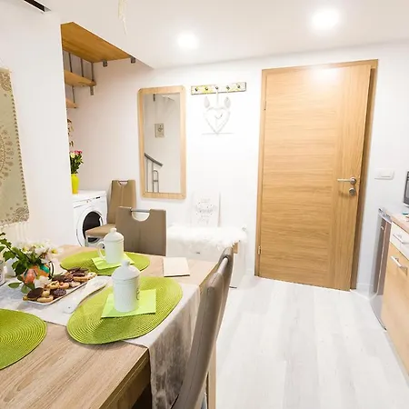 아파트 Aromatic Herbs Loft -new, Central & Parking 류블랴나