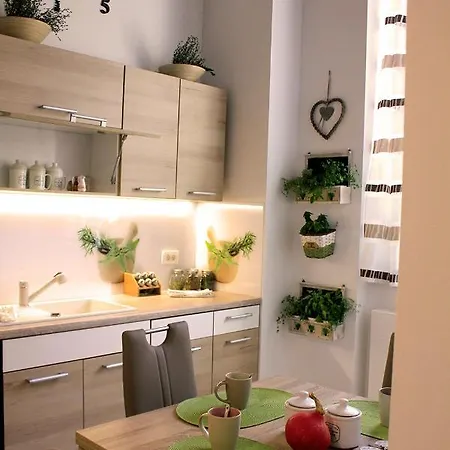 Daire Aromatic Herbs Loft -new, Central & Parking Ljubljana