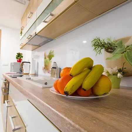Aromatic Herbs Loft -new, Central & Parking * Ljubljana