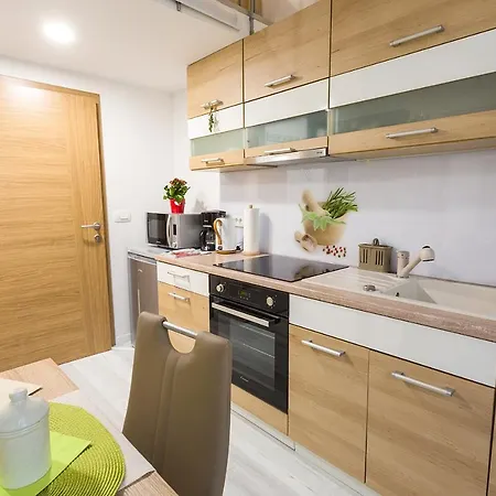 Aromatic Herbs Loft -new, Central & Parking Daire Ljubljana