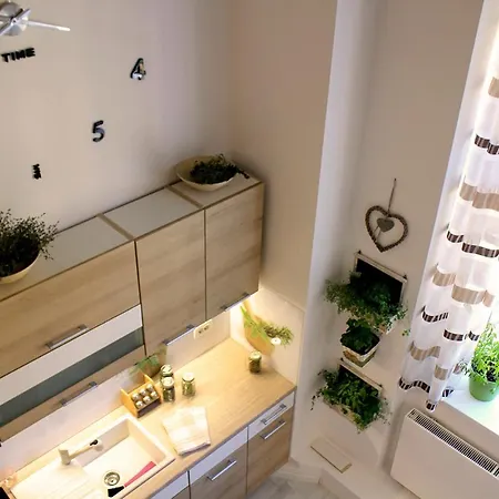 Aromatic Herbs Loft -new, Central & Parking Lejlighed